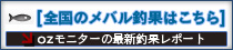 メバル釣果情報はこちら