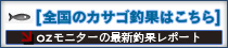 カサゴ釣果情報はこちら