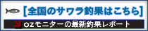 サワラ釣果情報はこちら