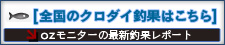 クロダイ釣果情報はこちら