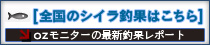 シイラ釣果情報はこちら