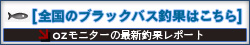 ブラックバス釣果情報はこちら