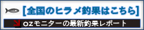 ヒラメ釣果情報はこちら