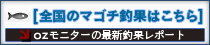 マゴチ釣果情報はこちら