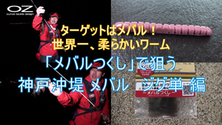 ターゲットはメバル！世界一、柔らかいワーム「メバルつくし」で狙う神戸沖堤メバル ジグ単 編
