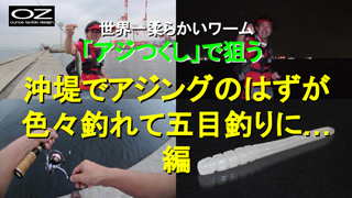 「アジつくし」で狙う 沖堤アジングのはずが五目釣りに・・・編