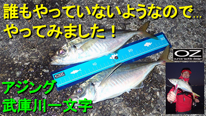 アジング！尺アジの釣果が出ている武庫川一文字では誰もやっていないので…やってみました！