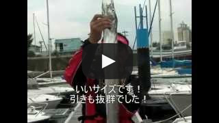 オフショア タチウオワインド 神戸港編